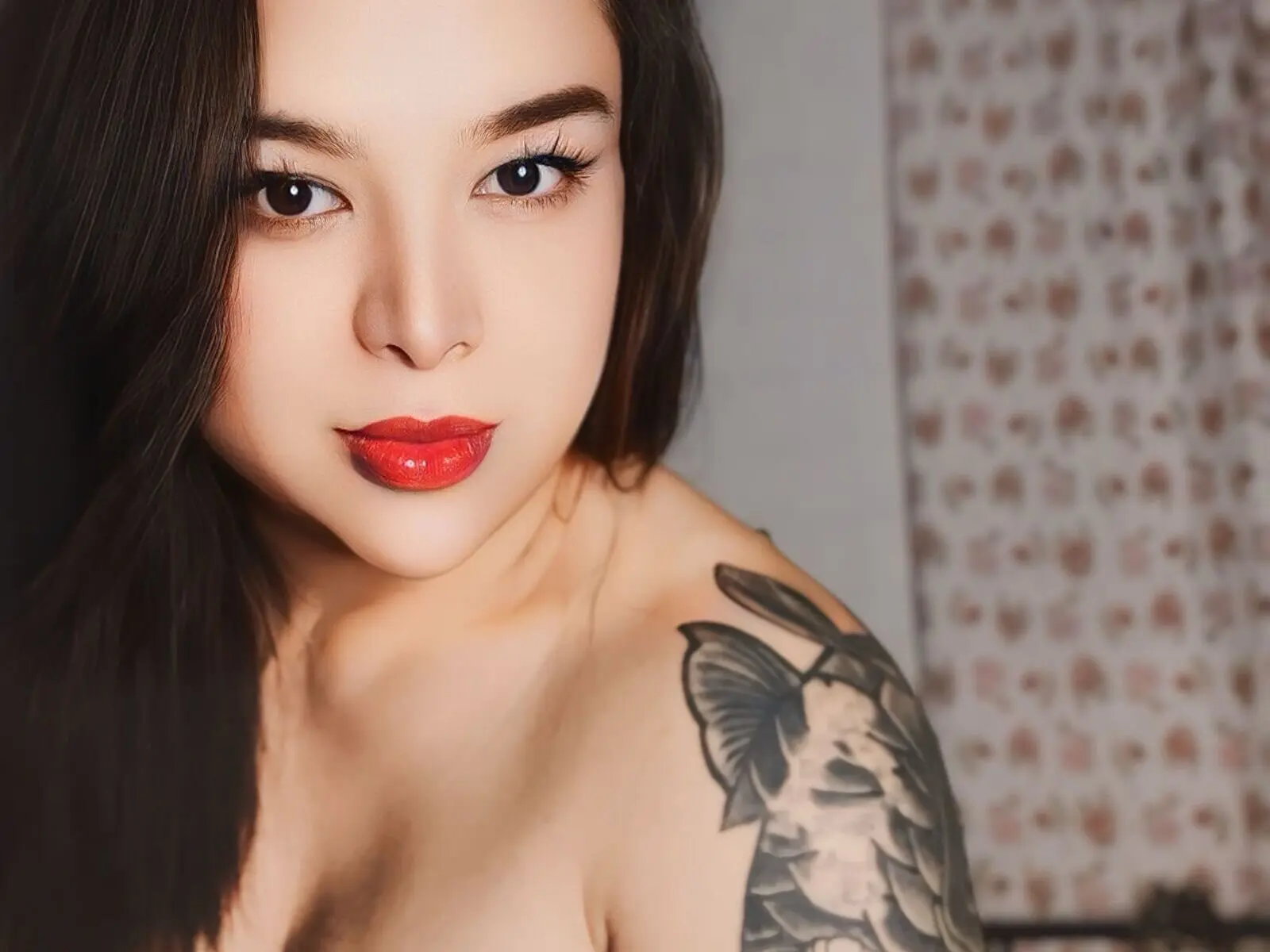 Starte eine Liveshow mit KittySantos
