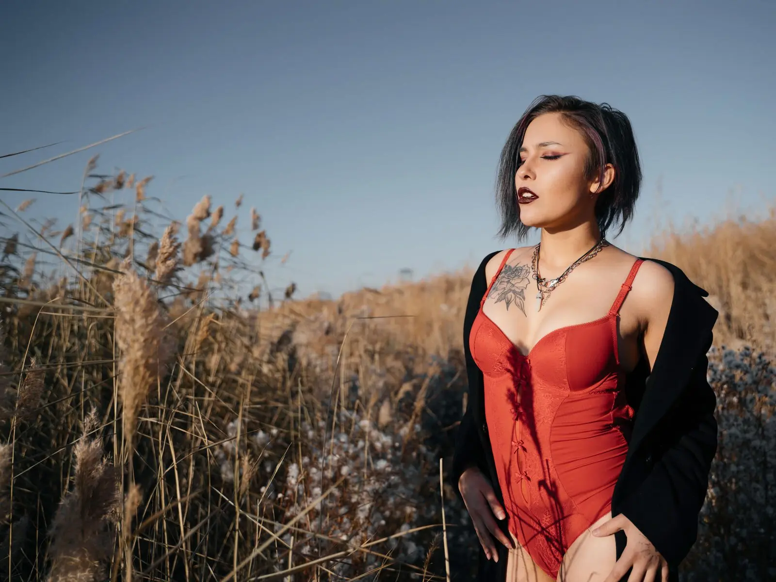 Starte eine Liveshow mit PollySimons